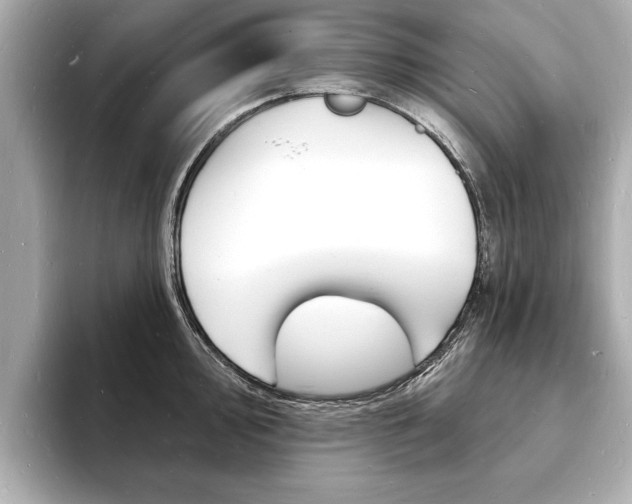 X0000093601000200710150954