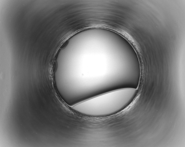 X0000093601001200710150954
