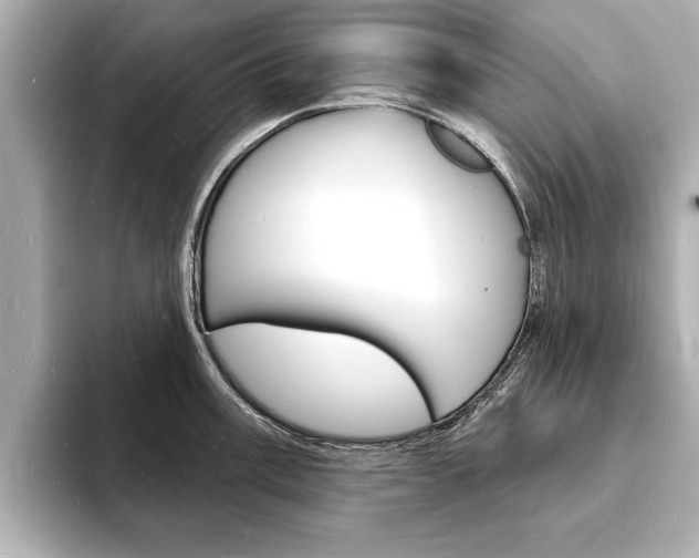 X0000093601003200710150954