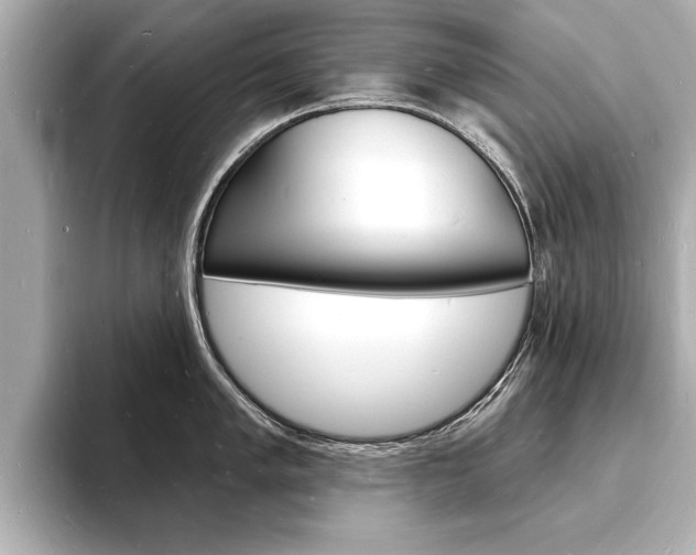 X0000093601005200710150954