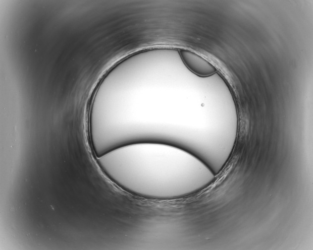 X0000093601006200710150954