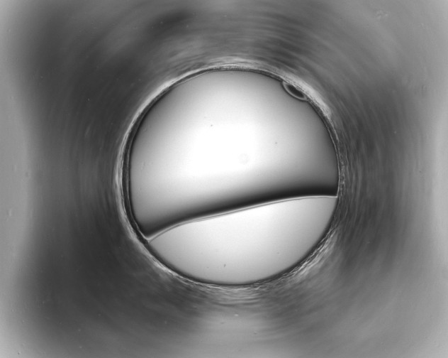 X0000093601007200710150954