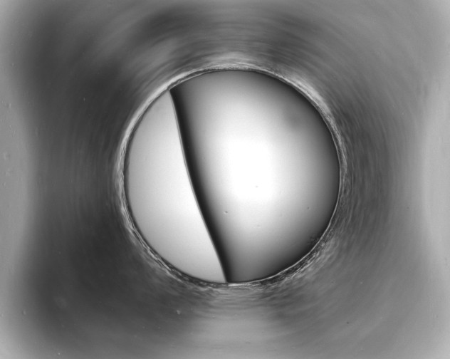 X0000093601008200710150954