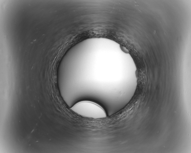 X0000093601009200710150954