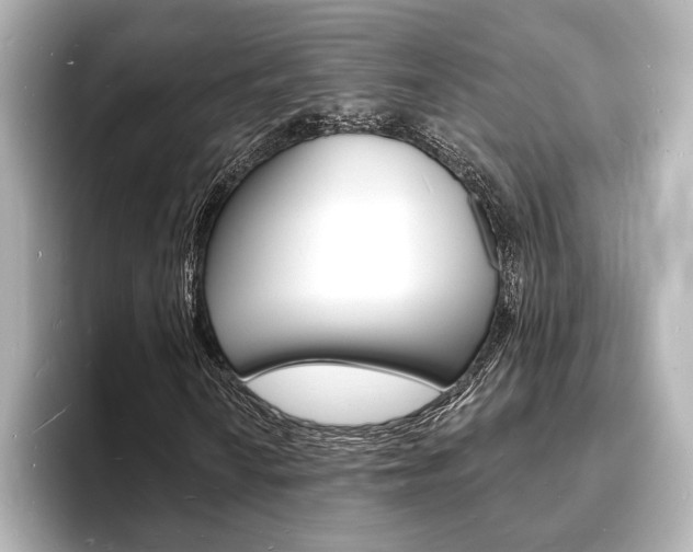 X0000093601010200710150954