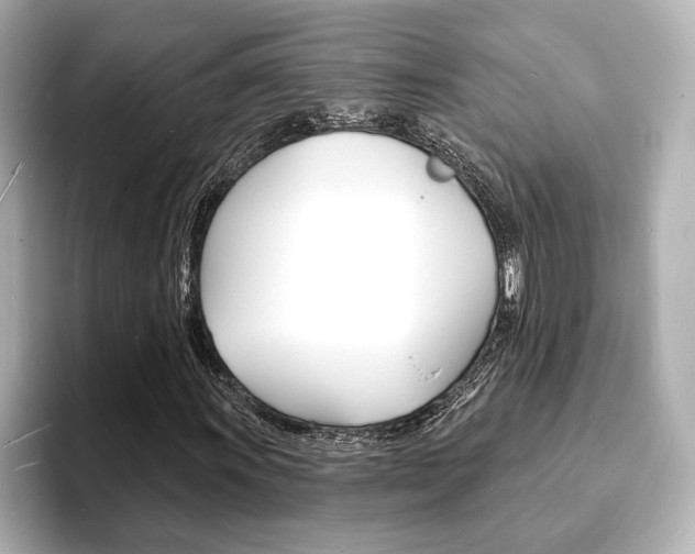 X0000093601011200710150954