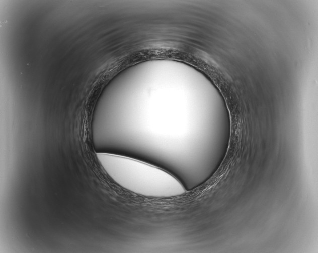 X0000093601014200710150954