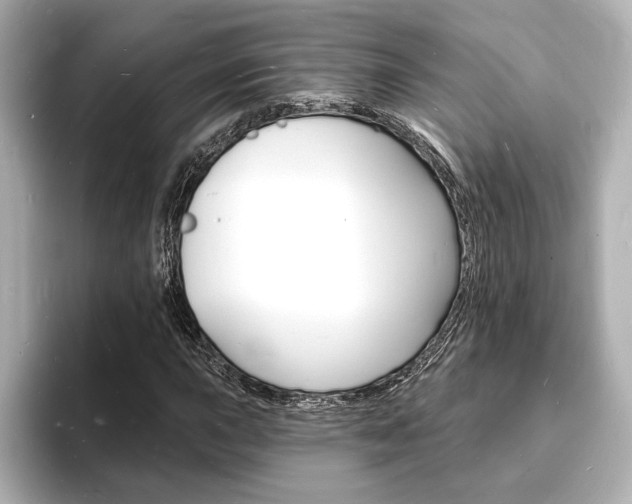 X0000093601015200710150954
