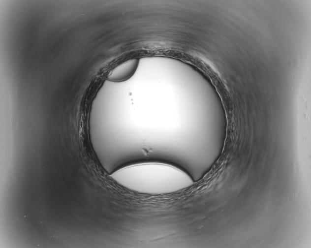 X0000093601016200710150954