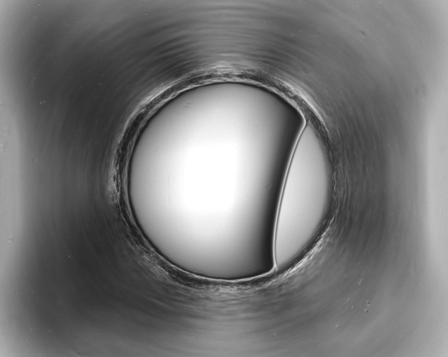 X0000093601018200710150954