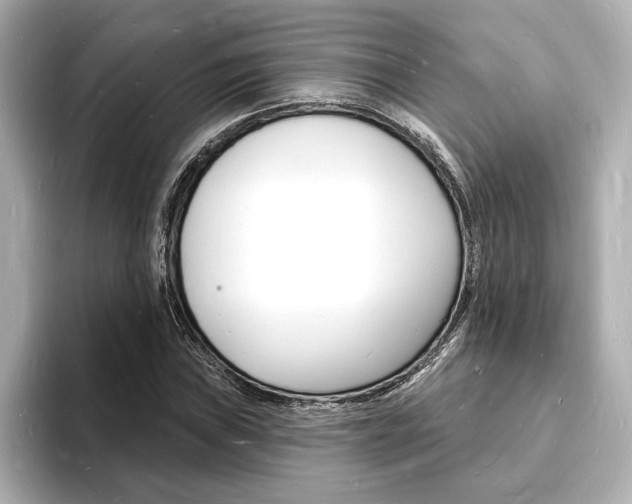 X0000093601019200710150954