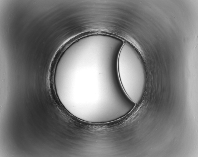 X0000093601020200710150954