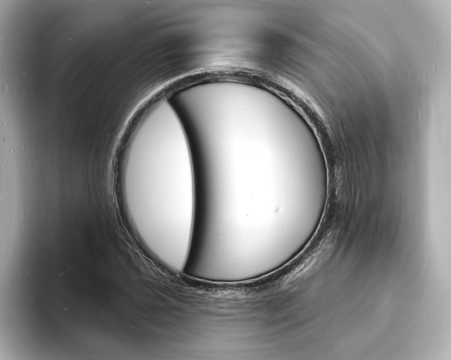 X0000093601021200710150954