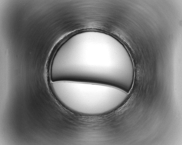X0000093601024200710150954