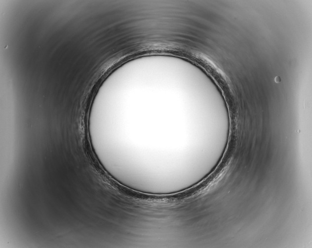 X0000093601025200710150954