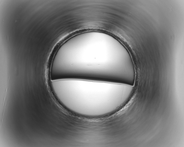 X0000093601029200710150954