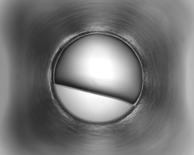 X0000093601030200710150954