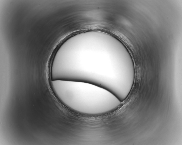 X0000093601031200710150954