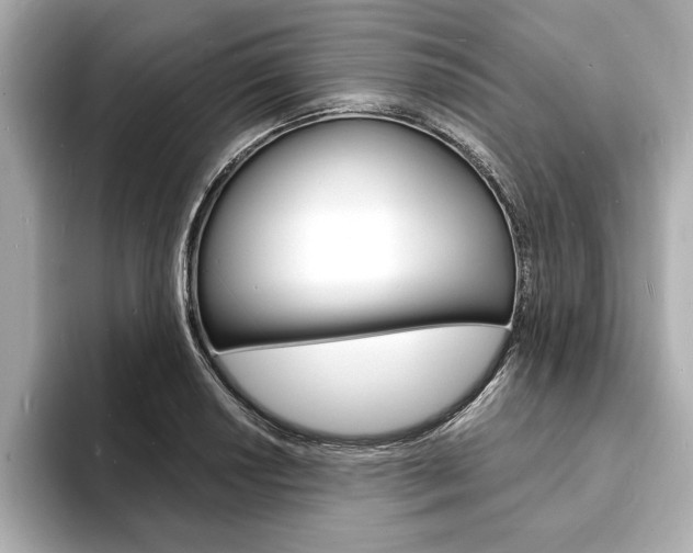 X0000093601034200710150954
