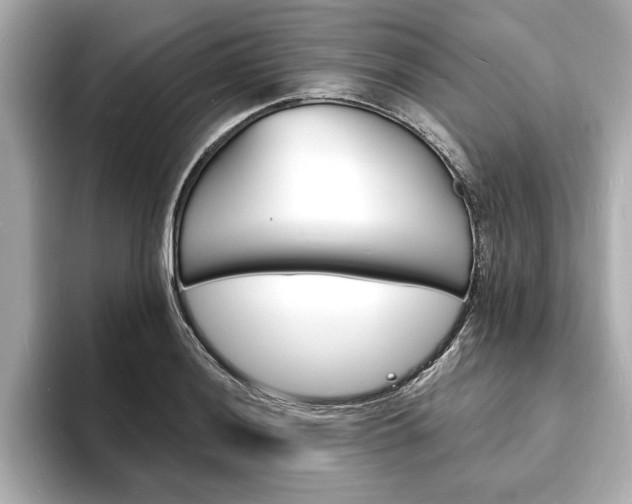 X0000093601036200710150954
