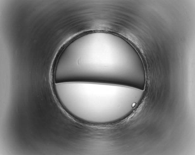 X0000093601037200710150954