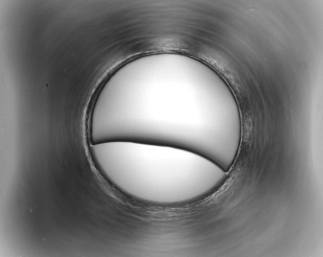 X0000093601039200710150954