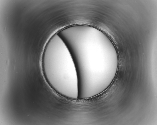 X0000093601040200710150954