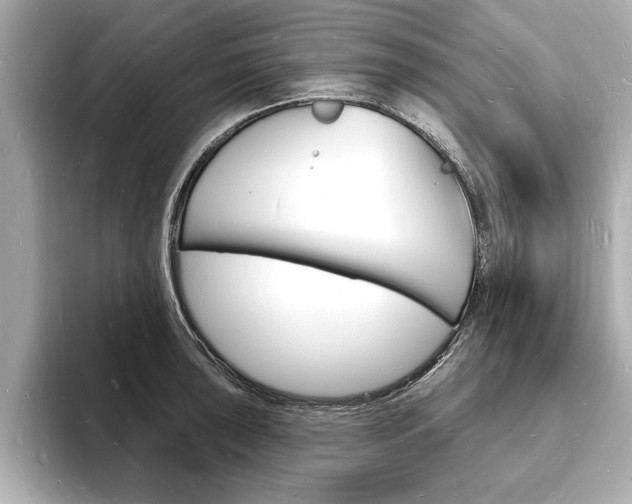 X0000093601043200710150954