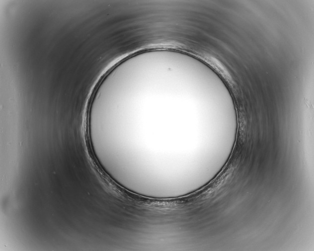 X0000093601044200710150954