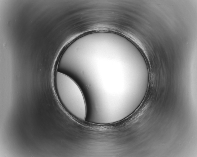 X0000093601045200710150954