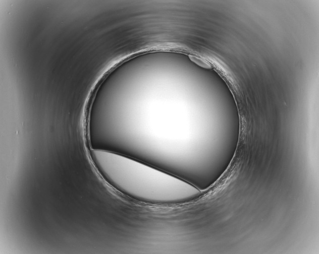 X0000093601046200710150954