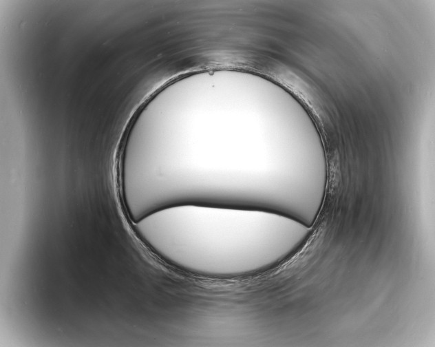 X0000093601047200710150954