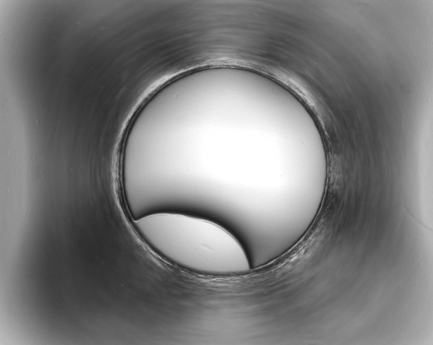 X0000093601048200710150954