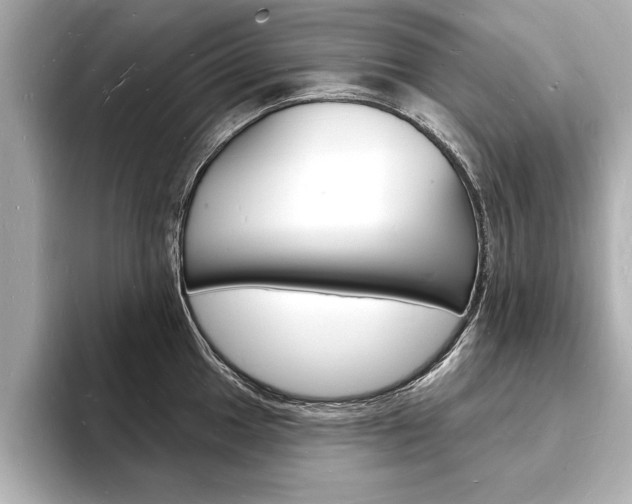 X0000093601049200710150954