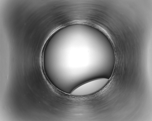 X0000093601050200710150954