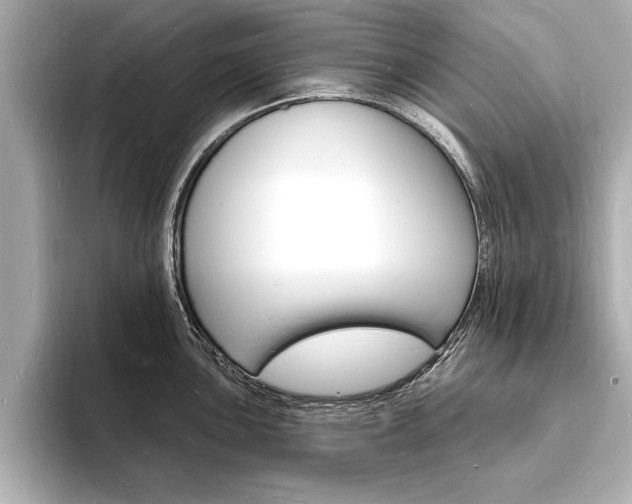 X0000093601051200710150954