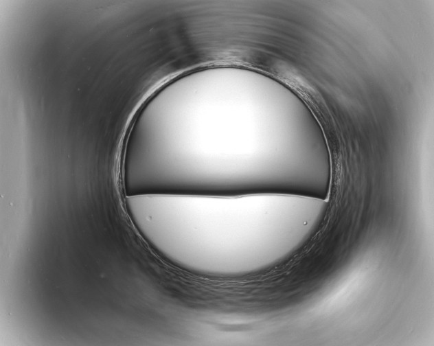 X0000093601052200710150954