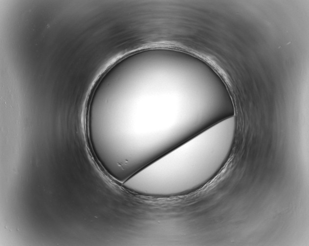 X0000093601054200710150954