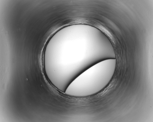 X0000093601055200710150954