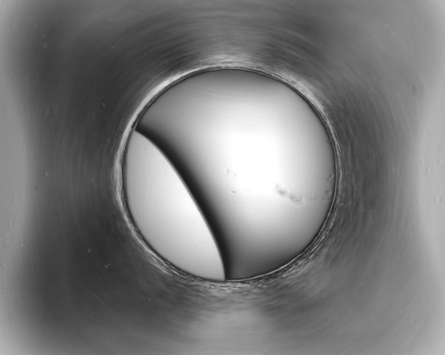 X0000093601056200710150954