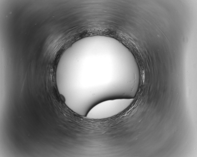 X0000093601059200710150953