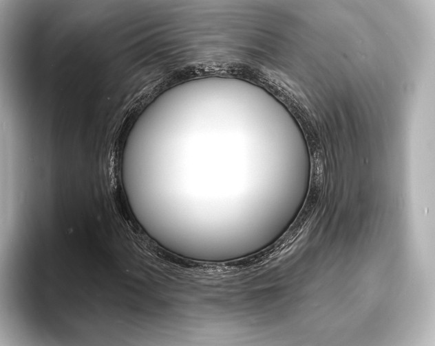 X0000093601060200710150953