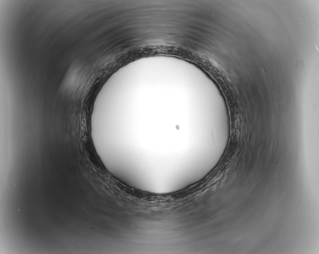X0000093601062200710150953