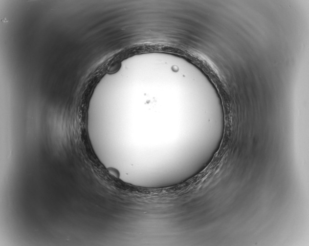 X0000093601064200710150953
