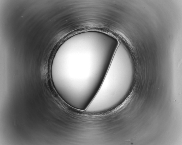 X0000093601065200710150953