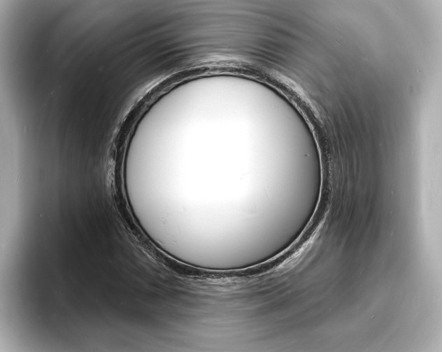X0000093601066200710150953