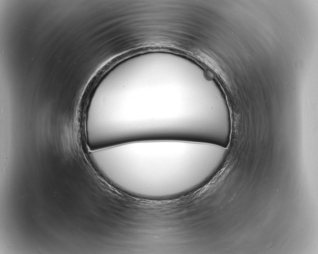 X0000093601068200710150953