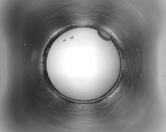 X0000093601071200710150953