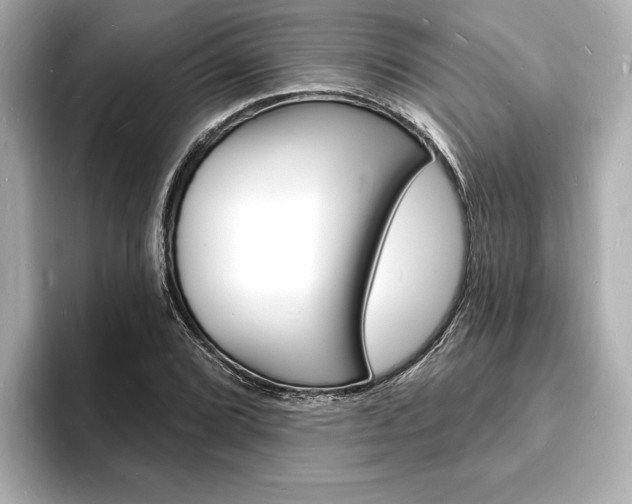 X0000093601072200710150953