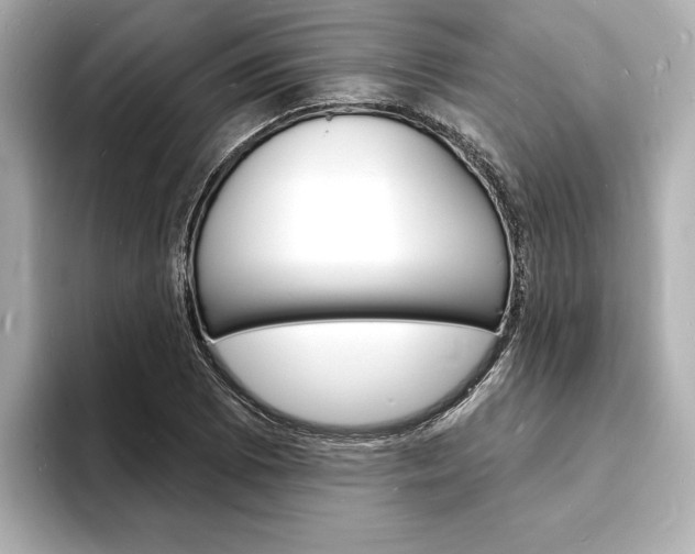 X0000093601073200710150953